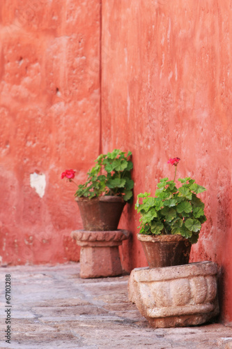 Santa Catalina Convent, Arequipa, Peru