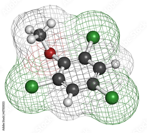 Trichloroanisole (TCA) cork taint molecule. photo