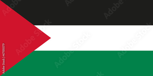 Palestinian flag photo