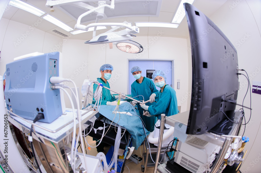 Obraz premium veterinarian doctor in operation room for laparoscopic surgical