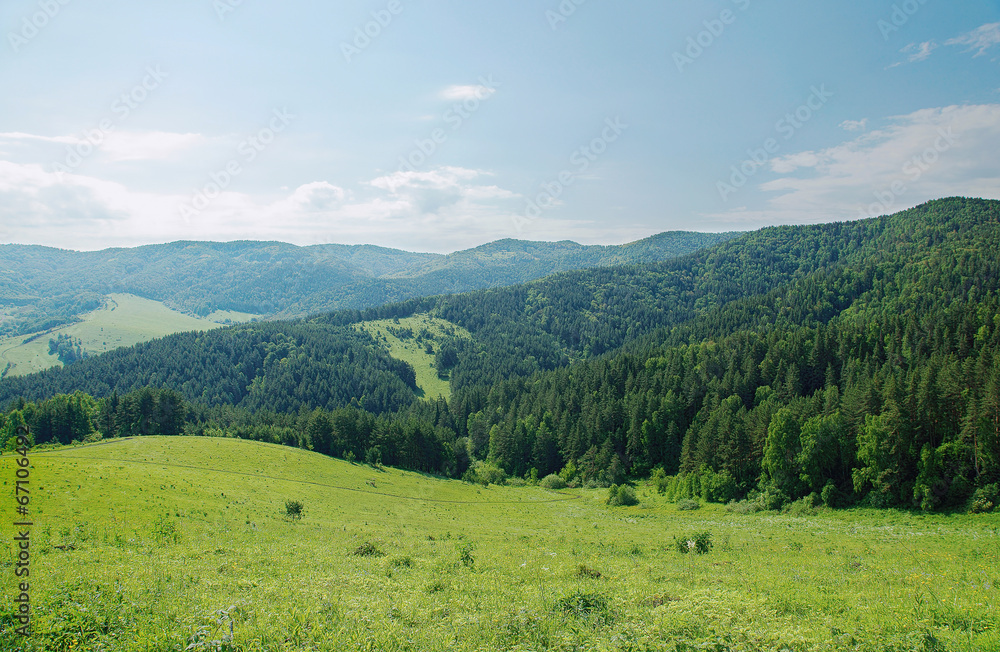 Beautiful summer alpine landscape with green wooded mountains