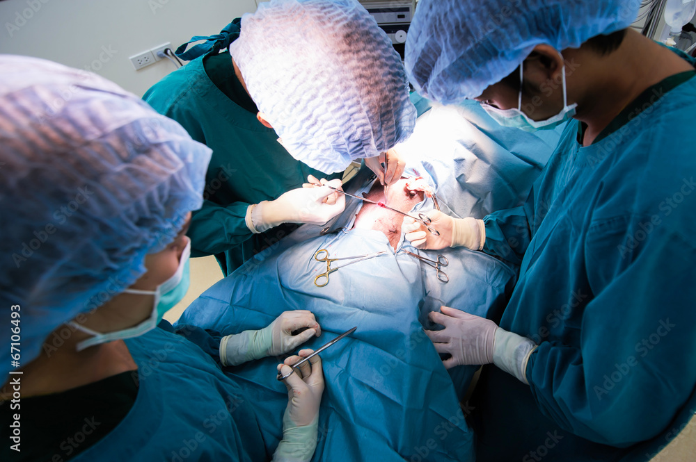 group of veterinarian surgeons in operation room