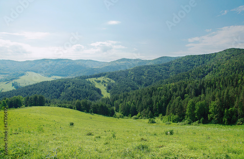 Beautiful summer alpine landscape with green wooded mountains