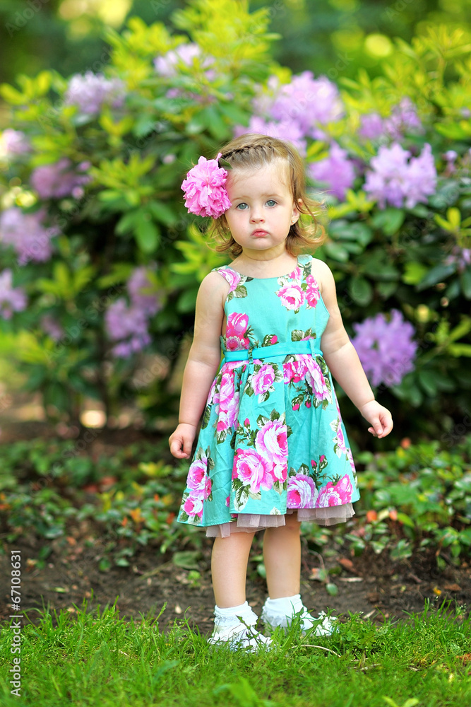 portrait of a beautiful little girl portrait of a beautiful little girl