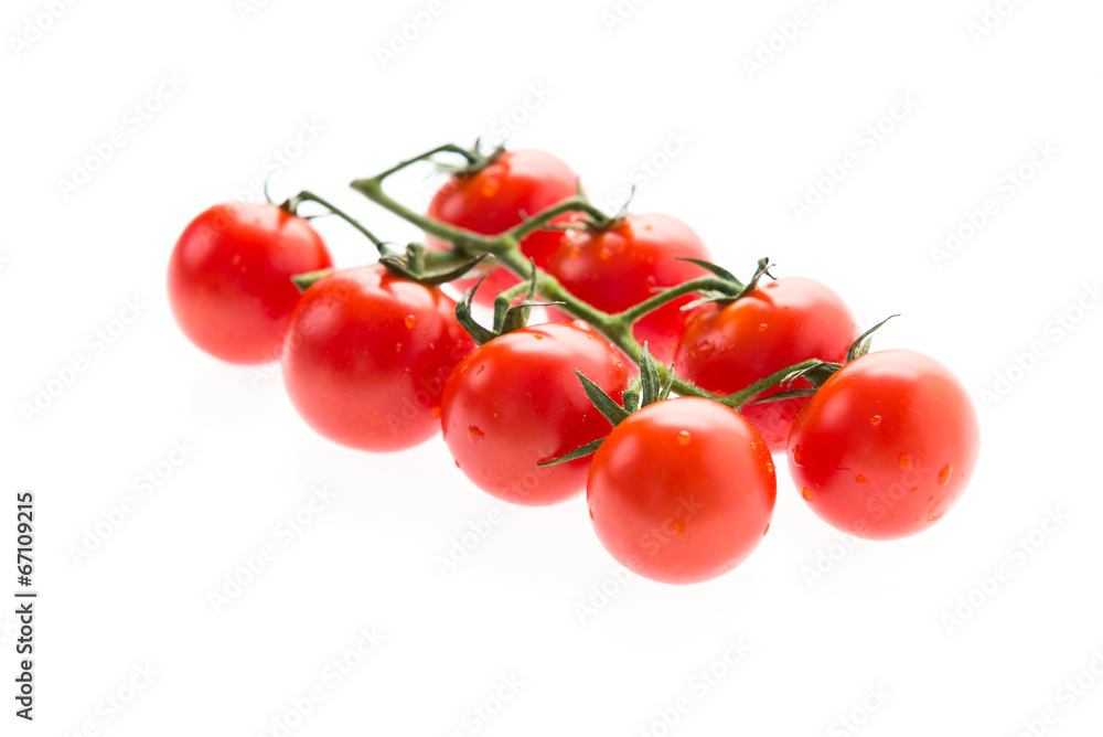 Tomatos Tomatos