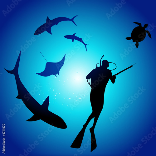 Shark and diver, swimming with sharks