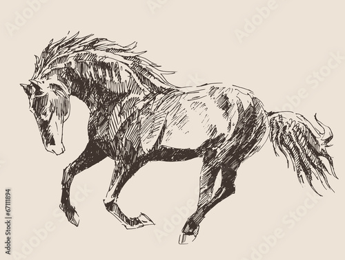 horse vintage engraved illustration, retro style, hand drawn