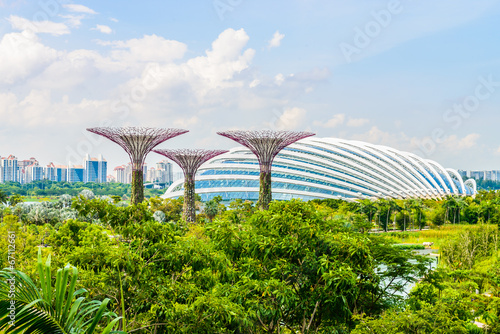 Garden by the bay