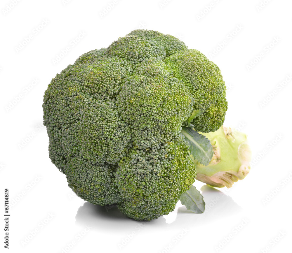 Broccoli isolated on white background Broccoli isolated on white background