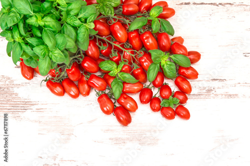 fresh basil herb and cherry tomatoes. organic food