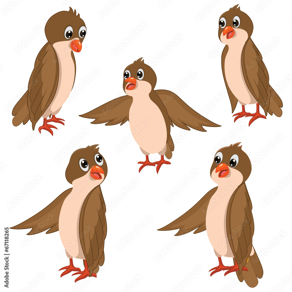 Brown Birds Vector Illustrations Set Brown Birds Vector Illustrations Set