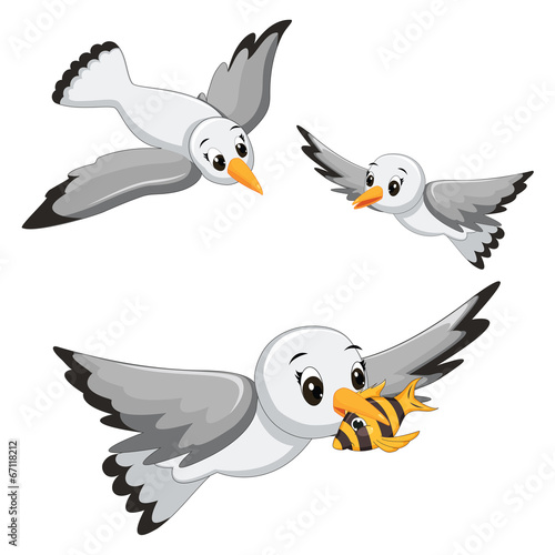 Seagulls Vector Illustrations