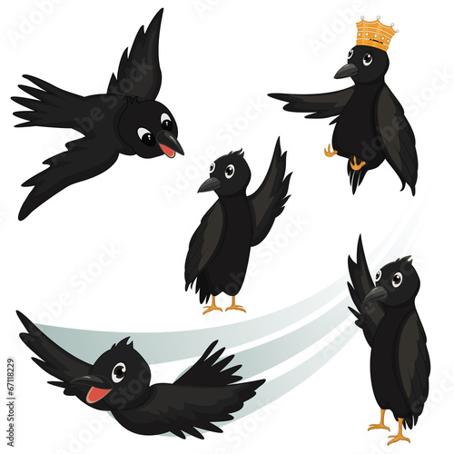 Crows Vector Illustrations