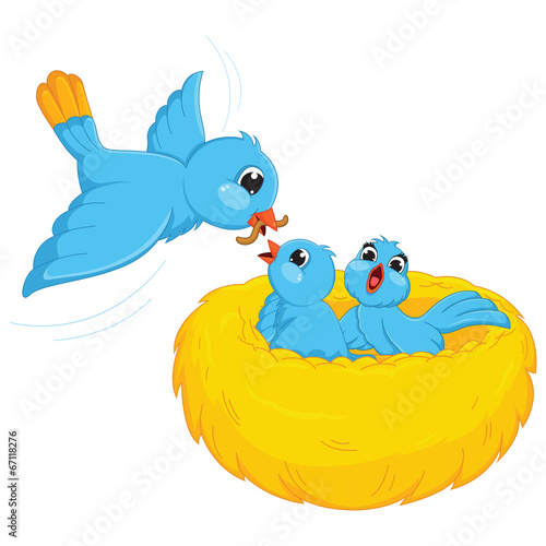 Bird Feeding  Babies Vector Illustration