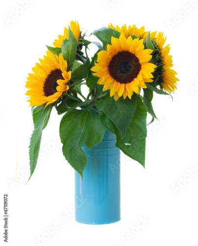 sunflowers flowers bouquet