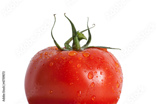 Tomato