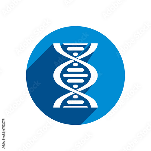 Dna vector icon isolated on...