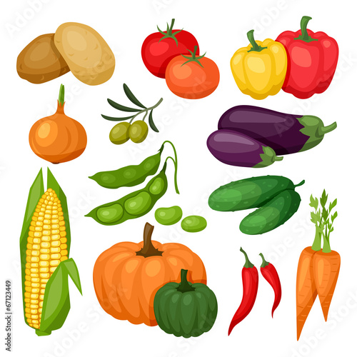 Icon set of fresh ripe stylized vegetables.