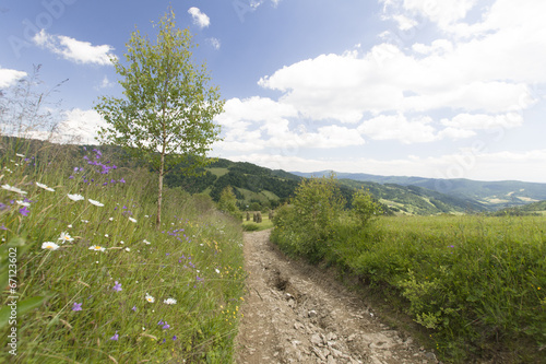 Gorczańskie łąki, Polska photo