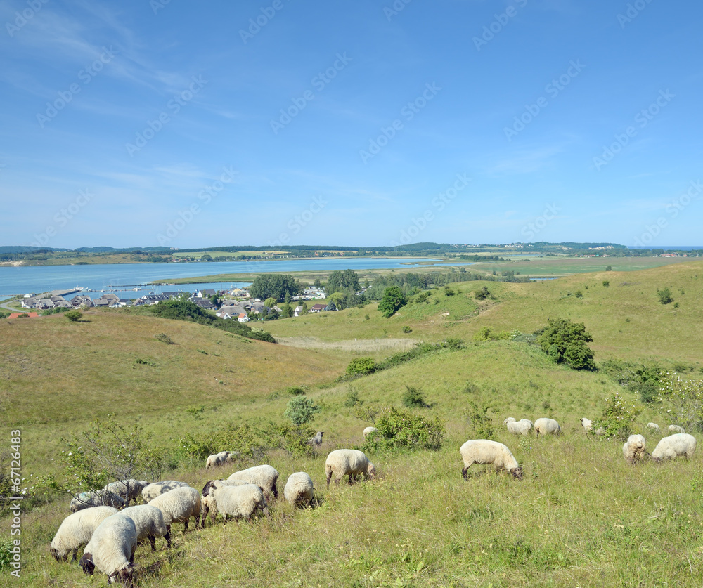 Fototapeta premium Blick auf den Fischer-und Urlaubsort Gager auf Rügen