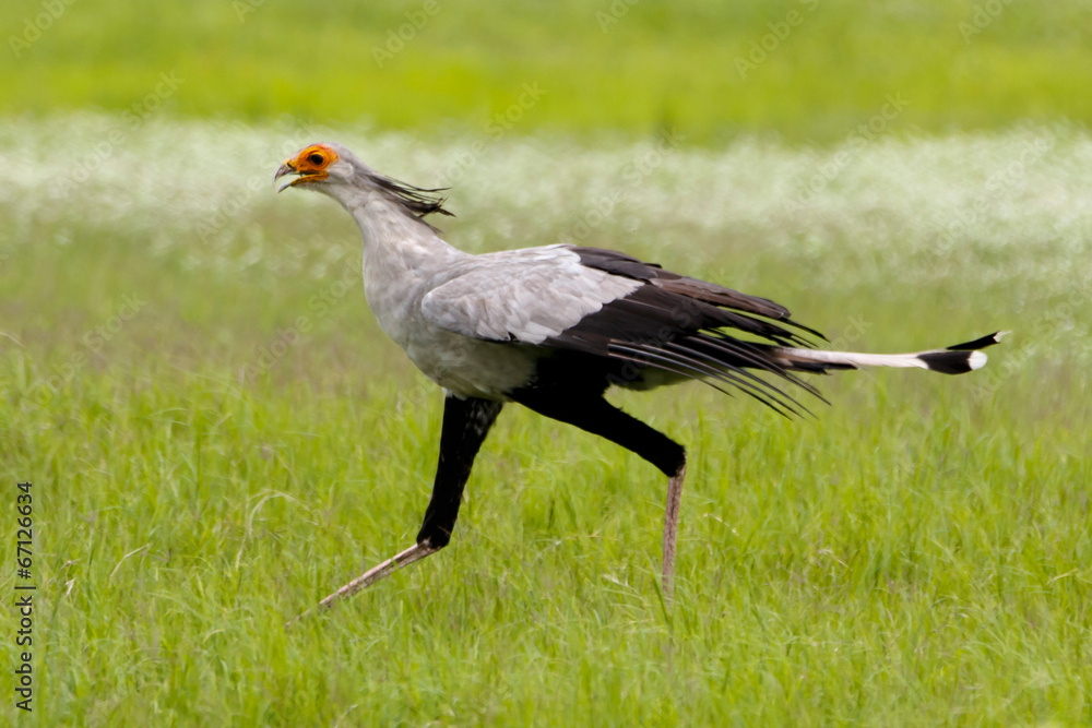 Obraz premium Sekretärin