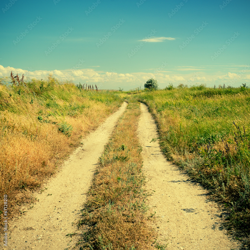 Summer landscape with country road in retro style