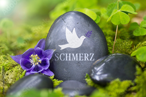 Schmerz