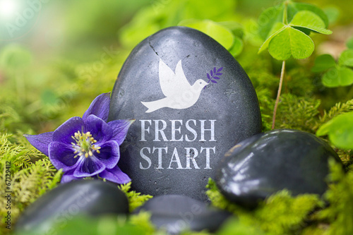 Fresh Start