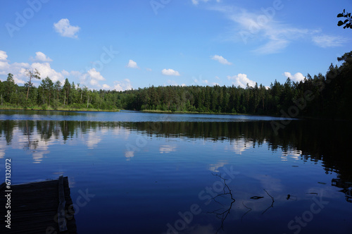 Lake in the deep forest