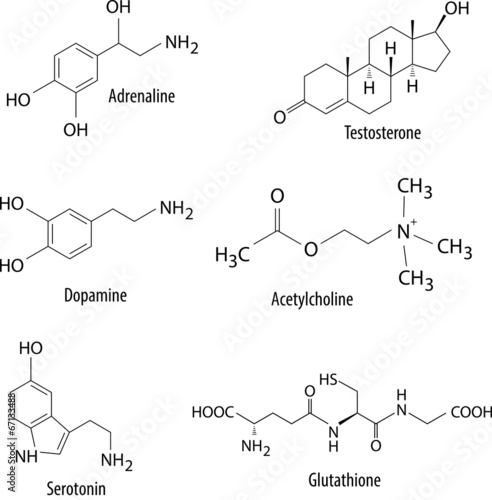 Chemical formulas of neurotransmitters and enzymes