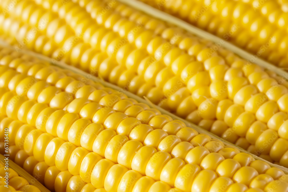 Corn