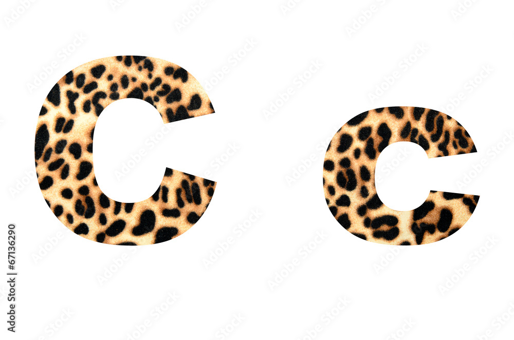 Fototapeta premium font tiger