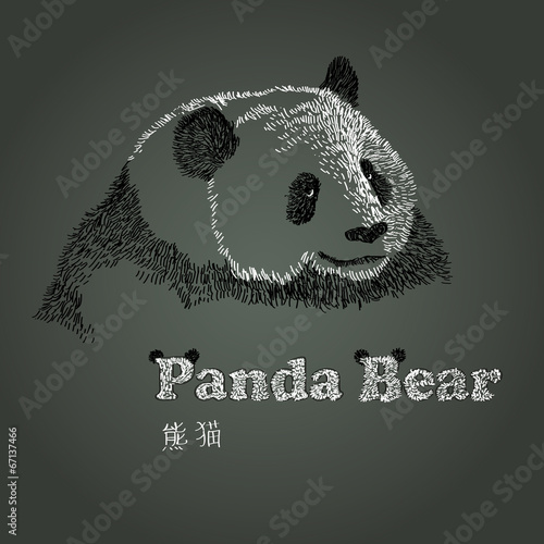 panda bear
