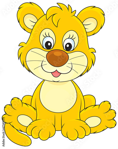 Little lion