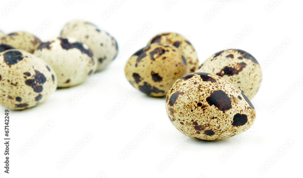 Quail eggs are isolated on a white background Quail eggs are isolated on a white background