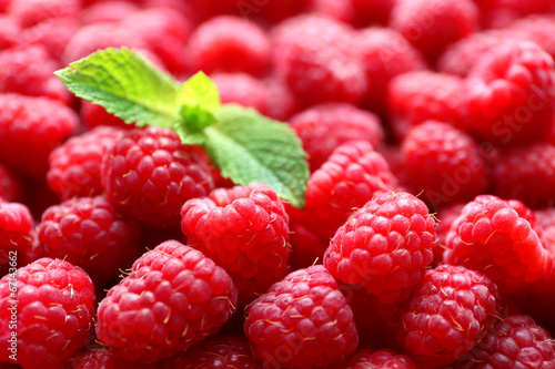 Ripe sweet raspberries close-up