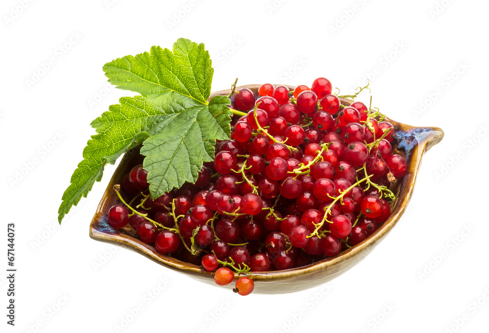 Red currant Red currant