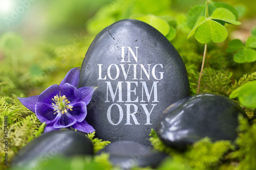 In Loving Memory