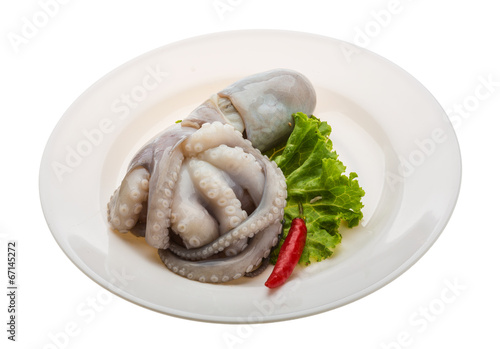 Raw octopus