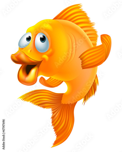 Goldfish cartoon