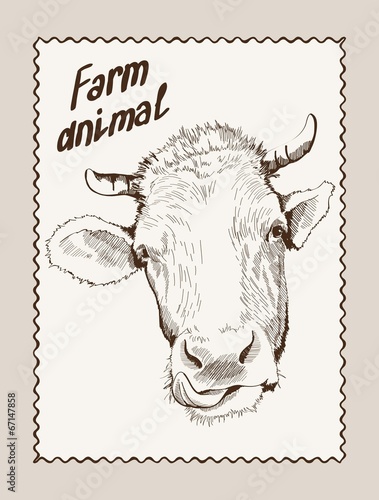 cow vector hand drawn