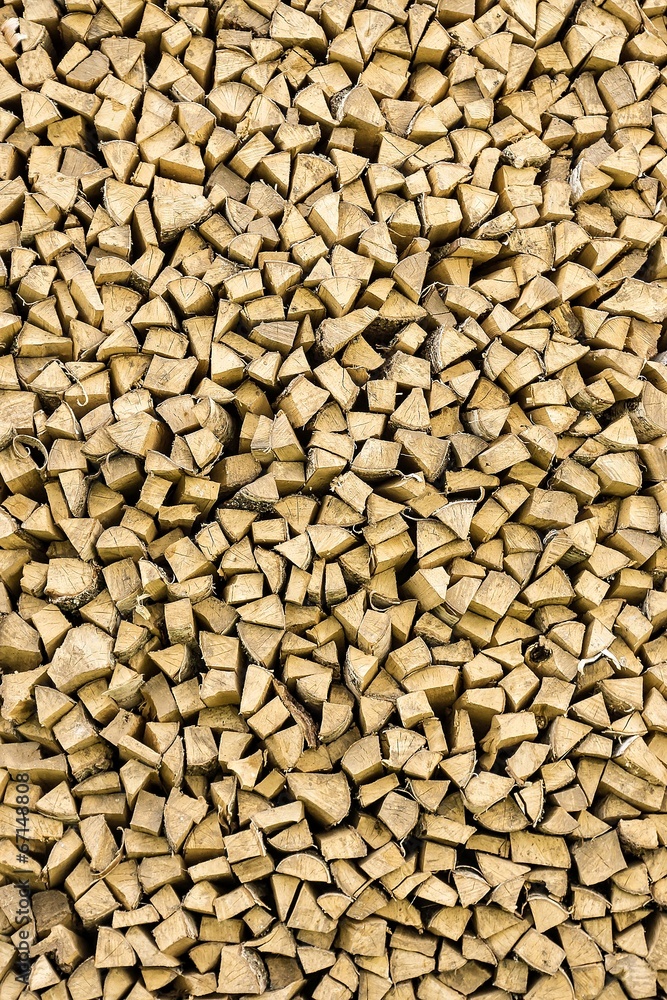 coniferous and deciduous wood stacked in a pile coniferous and deciduous wood stacked in a pile