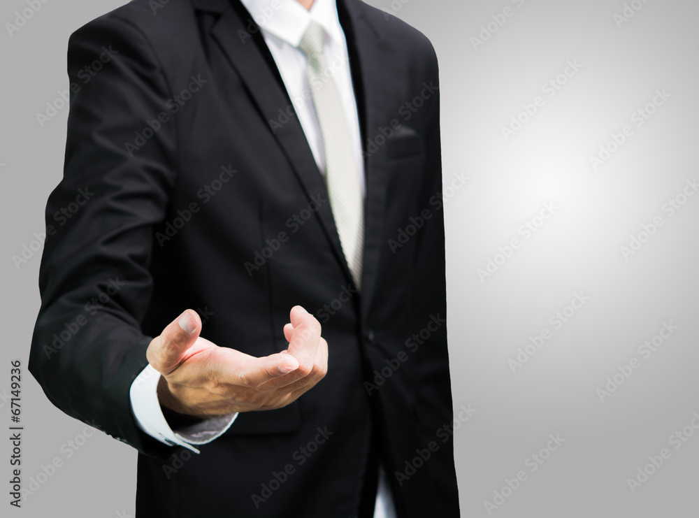 Businessman standing posture show hand isolated Businessman standing posture show hand isolated