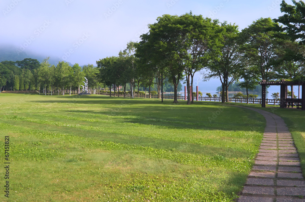 Fototapeta premium 朝の公園風景