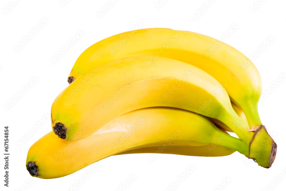 beautiful ripe bananas on a branch on a white background