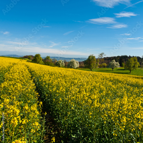 Sloping Meadows
