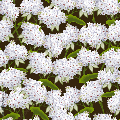 Buckwheat seamless background