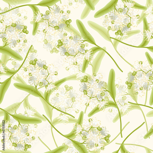 Linden seamless background
