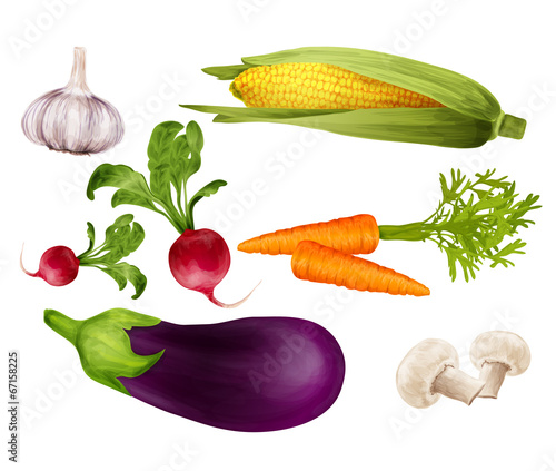 Vegetables realistic set