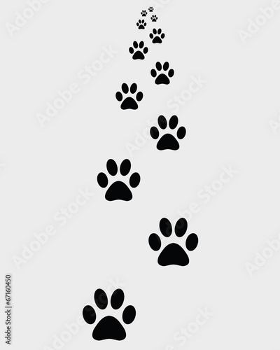 Black prints of paws of dogs, vector illustration